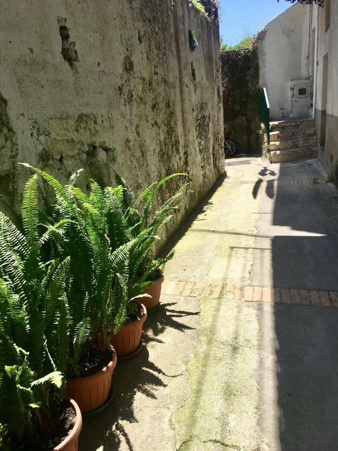 La Casetta Di Zia Cuccu Minori Eksteriør billede